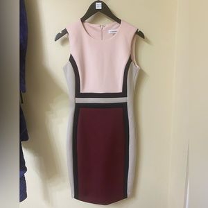 Calvin Klein Colorblock Form Fitting Dress Size 4